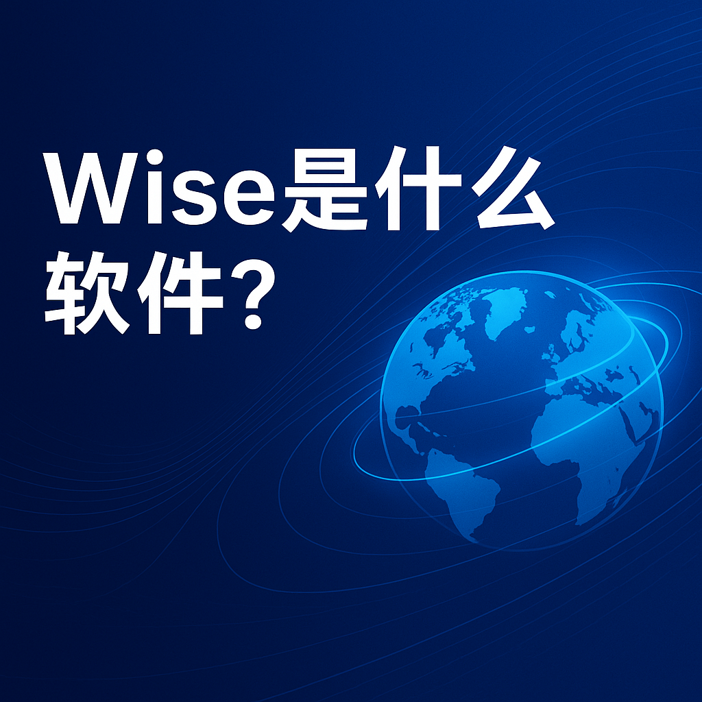 Wise是什么软件