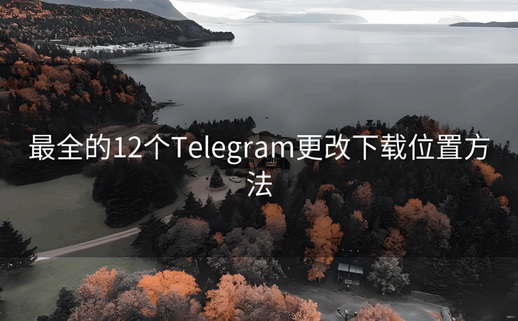 Telegram下载目录设置技巧:安卓与PC通用